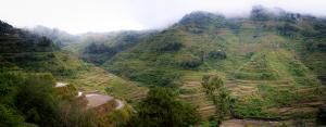 Rice terraces